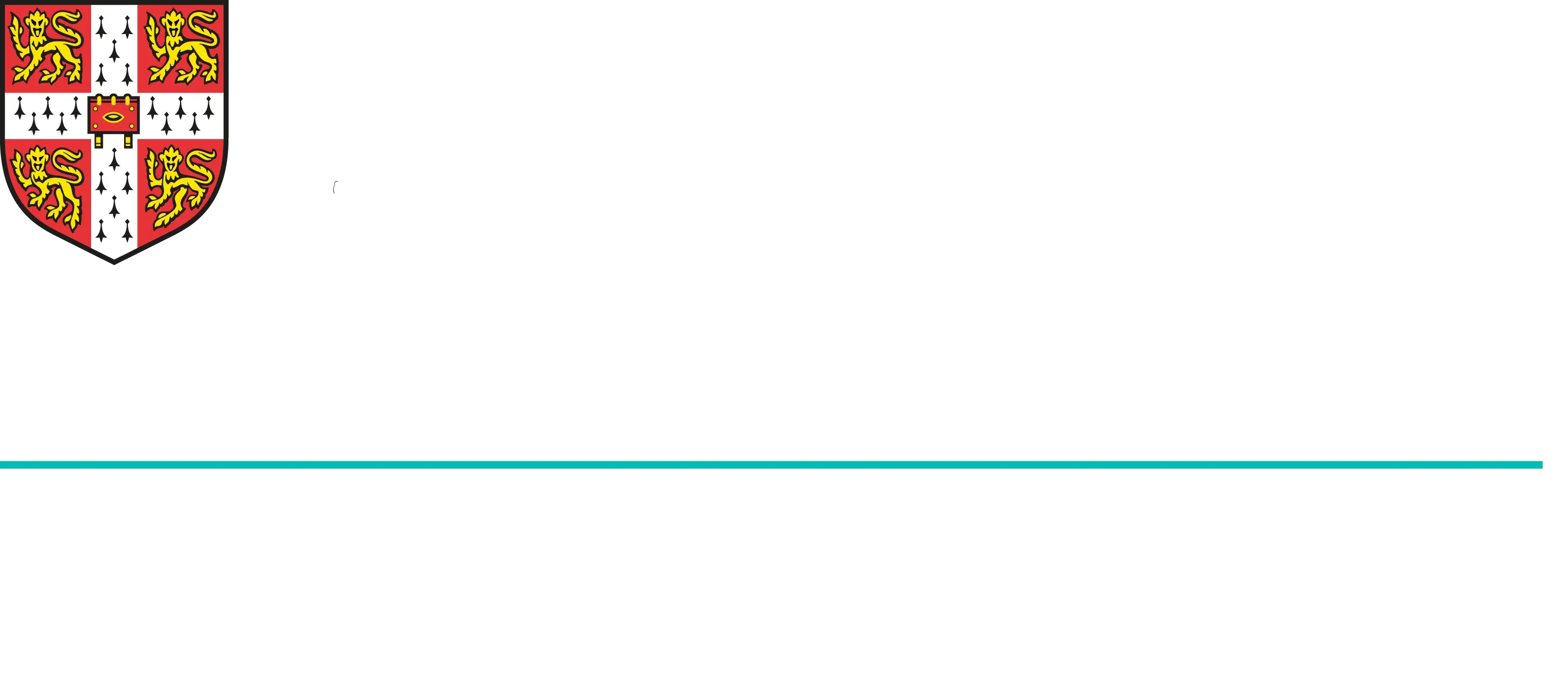 nuovo logo Cambridge International School per primaria e middle-bianco